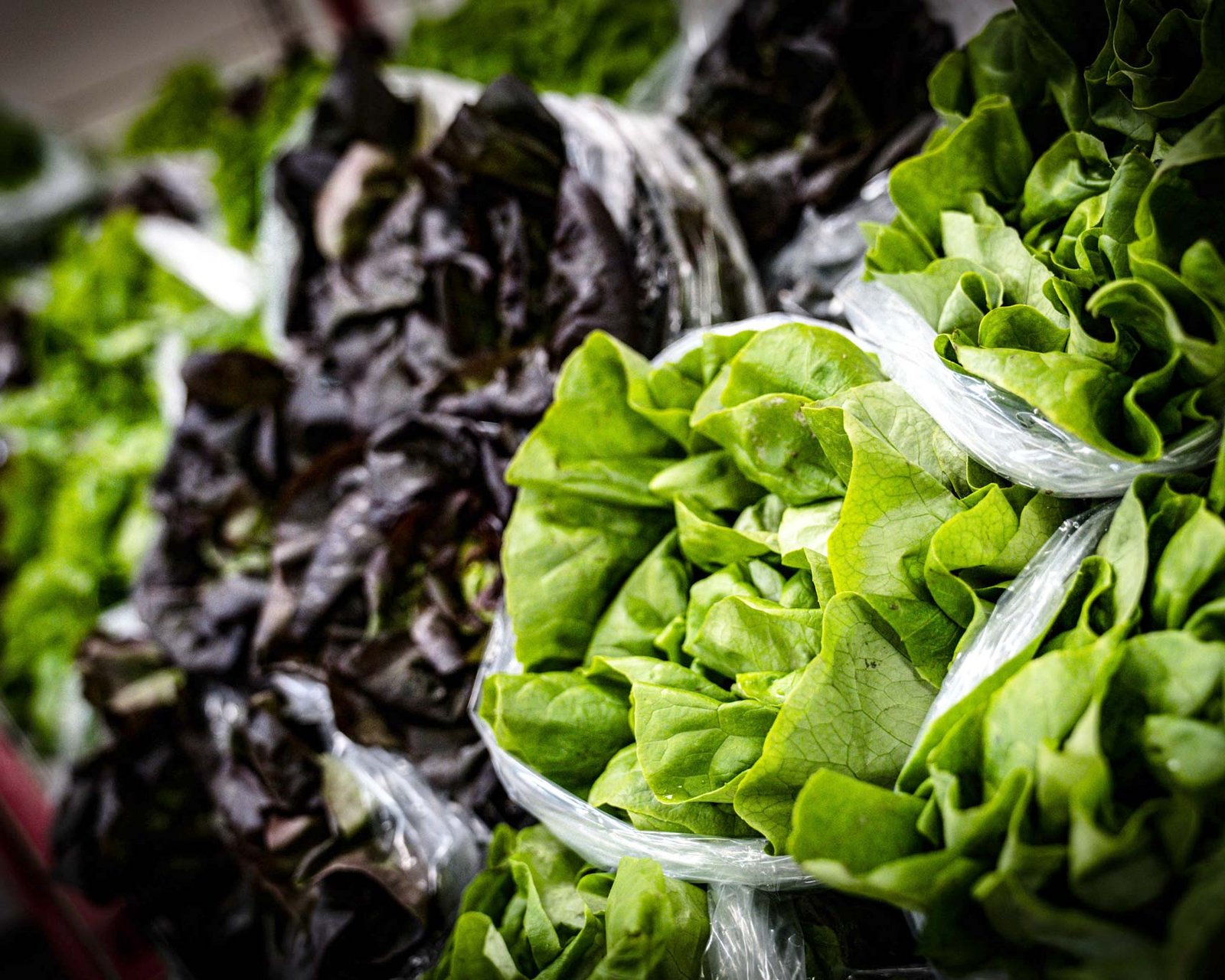 Épicerie à Provins : Légumes, herbes aromatiques et salades